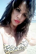 Cabo Frio Transex Escort Raffaella Bastos 0055 62996339624 foto selfie 68