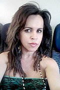 Cabo Frio Transex Escort Raffaella Bastos 0055 62996339624 foto selfie 67