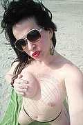 Cabo Frio Transex Escort Raffaella Bastos 0055 62996339624 foto selfie 57