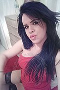 Cabo Frio Transex Escort Raffaella Bastos 0055 62996339624 foto selfie 27