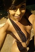 Sanremo Transex Escort Vivy  Noronha 333 1867209 foto selfie 14