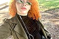 Bari Transex Escort Bambolina Red 348 7569396 foto selfie 29