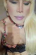 Bergamo Transex Escort Nicole Vip Venturiny 353 3538868 foto selfie 400