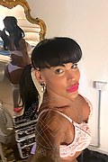 Viareggio Transex Escort Diana Marini 328 0291220 foto selfie 19