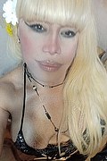 Bergamo Transex Escort Nicole Vip Venturiny 353 3538868 foto selfie 81