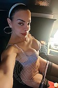 Padova Transex Escort Kartika 349 2231753 foto selfie 259