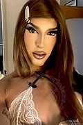 Torino Transex Escort Vicky 329 4040985 foto selfie 28