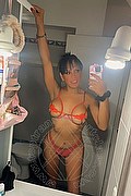 Sava Transex Escort Viviana 388 1530590 foto selfie 1