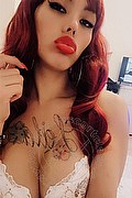 Cremona Transex Escort Leila Evans 342 5239992 foto selfie 12