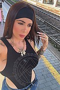 Trento Transex Escort Charon 376 1256818 foto selfie 17