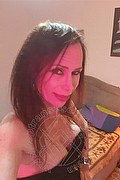 Piombino Transex Escort Cristal Lady 380 3849510 foto selfie 6