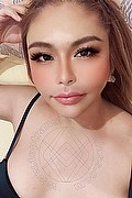 Roma Transex Escort Asia Ruru 351 4879238 foto selfie 12