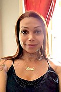 Grosseto Transex Escort Linda 351 1748930 foto selfie 1