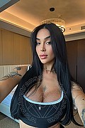 Grosseto Transex Escort Sara Luna 334 2293953 foto selfie 16