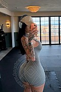 Grosseto Transex Escort Sara Luna 334 2293953 foto selfie 13