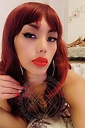Cremona Transex Escort Leila Evans 342 5239992 foto selfie 1