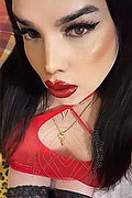 Fossano - Cuneo Transex Escort Cristina 350 9181926 foto selfie 4