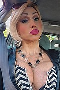 Monza Transex Escort Regina Audrey Italiana 388 9831116 foto selfie 63