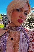 Monza Transex Escort Regina Audrey Italiana 388 9831116 foto selfie 56