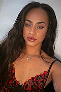 Bologna Transex Escort Victoria New 339 4337857 foto selfie 8