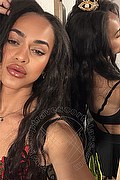 Bologna Transex Escort Victoria New 339 4337857 foto selfie 7
