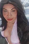 Prato Transex Escort Taina Oliveira 328 5382487 foto selfie 11
