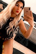 Torino Transex Escort Giulia Araujo 327 3719219 foto selfie 43