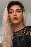 Torino Transex Escort Giulia Araujo 327 3719219 foto selfie 53