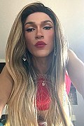 Torino Transex Escort Giulia Araujo 327 3719219 foto selfie 8