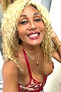 Milano Transex Escort Amber 347 4004169 foto selfie 5