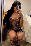 Roma - Trani Transex Escort Arielli Collins 353 3891489 foto selfie 3