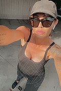 Treviso Transex Escort Valeria 338 8718849 foto selfie 2