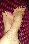 Modena Transex Escort Maite De L'Enclos 329 8337093 foto selfie 3