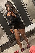 Villa Rosa Transex Escort Yasmin Brunett 331 4716945 foto selfie 3