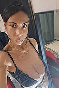 Roma Transex Escort Greta 334 3191923 foto selfie 8
