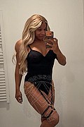 Roma Transex Escort Adriana 392 7624016 foto selfie 10