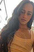 Bologna Transex Escort Victoria New 339 4337857 foto selfie 23