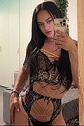 Bologna Transex Escort Victoria New 339 4337857 foto selfie 22