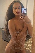 Bologna Transex Escort Victoria New 339 4337857 foto selfie 4