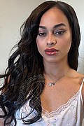 Bologna Transex Escort Victoria New 339 4337857 foto selfie 3