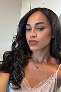 Bologna Transex Escort Victoria New 339 4337857 foto selfie 2