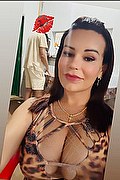 Rende Transex Escort Karen Milanny 347 4435213 foto selfie 1